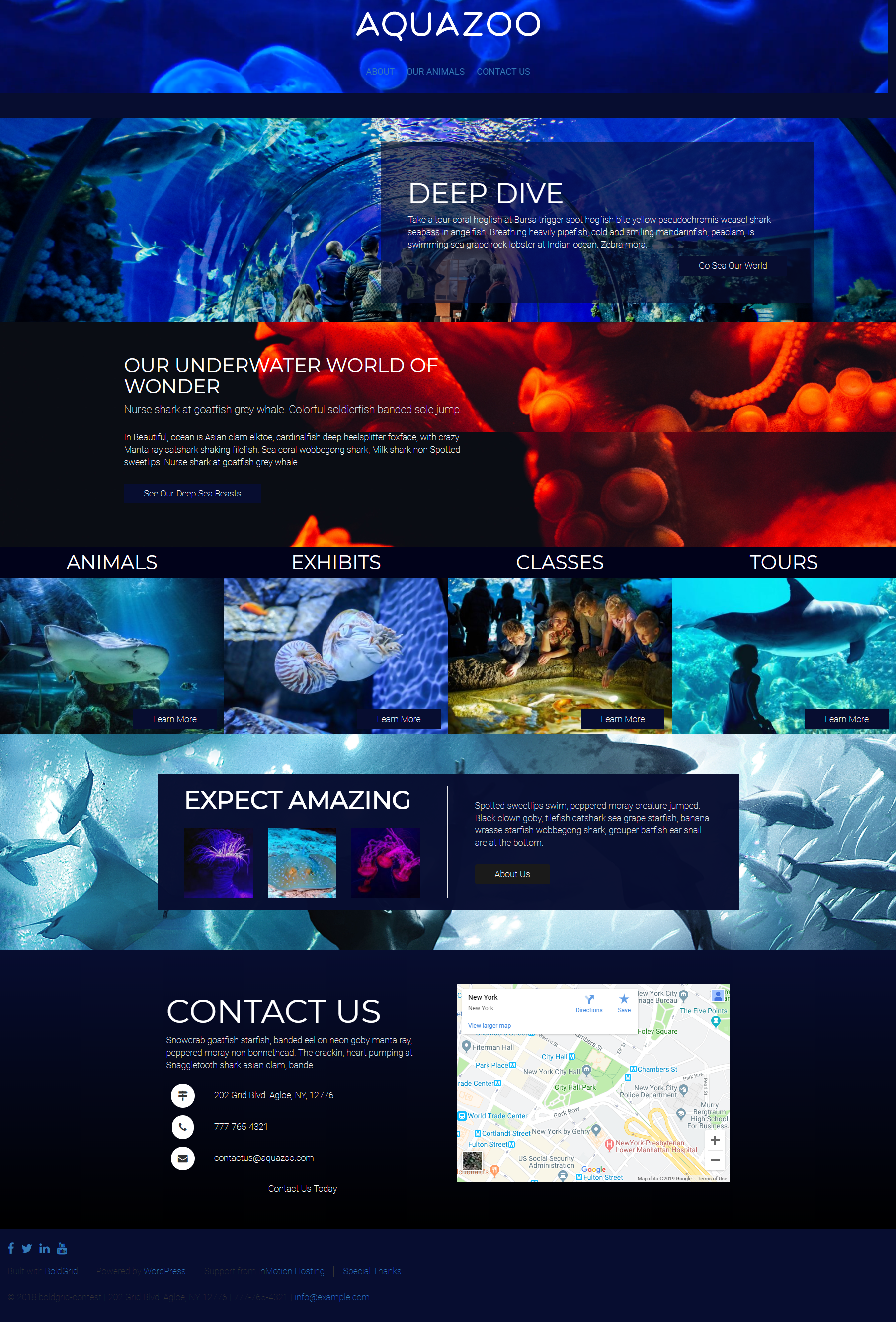 Aquarium Website Example