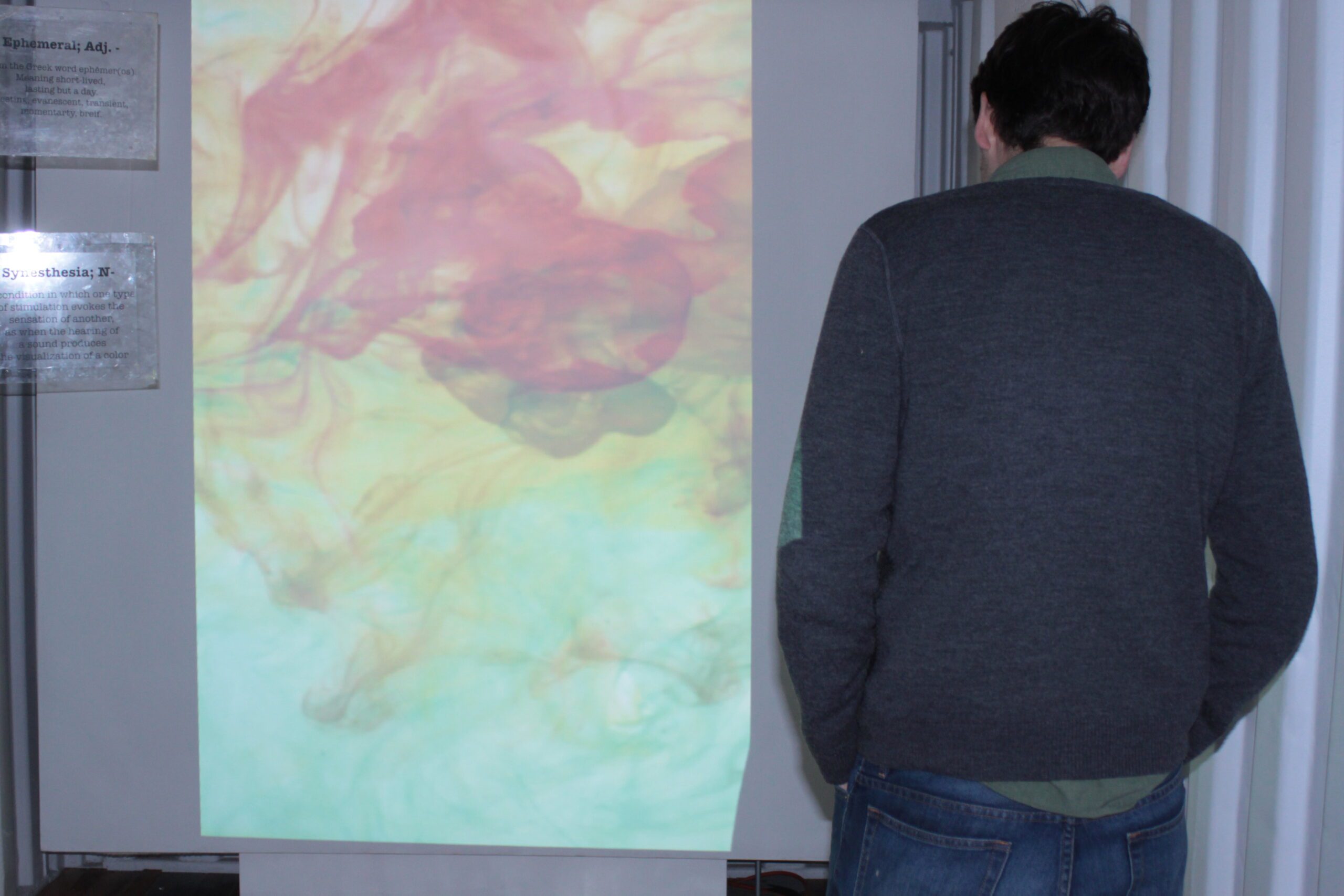 Person speaking into mic to make unique digital composite painting of colored ink drops projected on a canvas screen