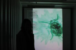 Art created by projector and human voice. Ink drops of different colors triggers layers of video by tones of human voice made into attached mic